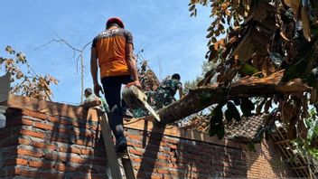 Ratusan Rumah Rusak di Gowa Buntut Cuaca Ekstrem, BNPB Kerahkan Tim Gabungan 