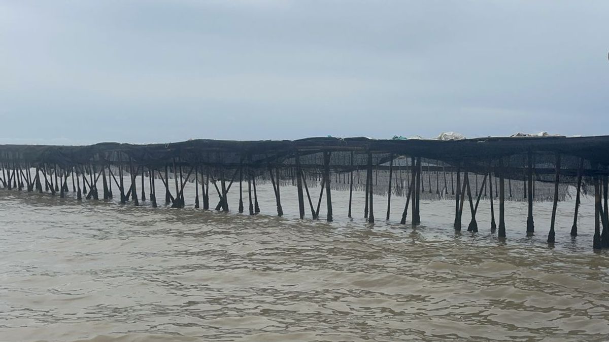 Banten DKP Dismantles The Remaining Sea Fence In Tangerang Regency