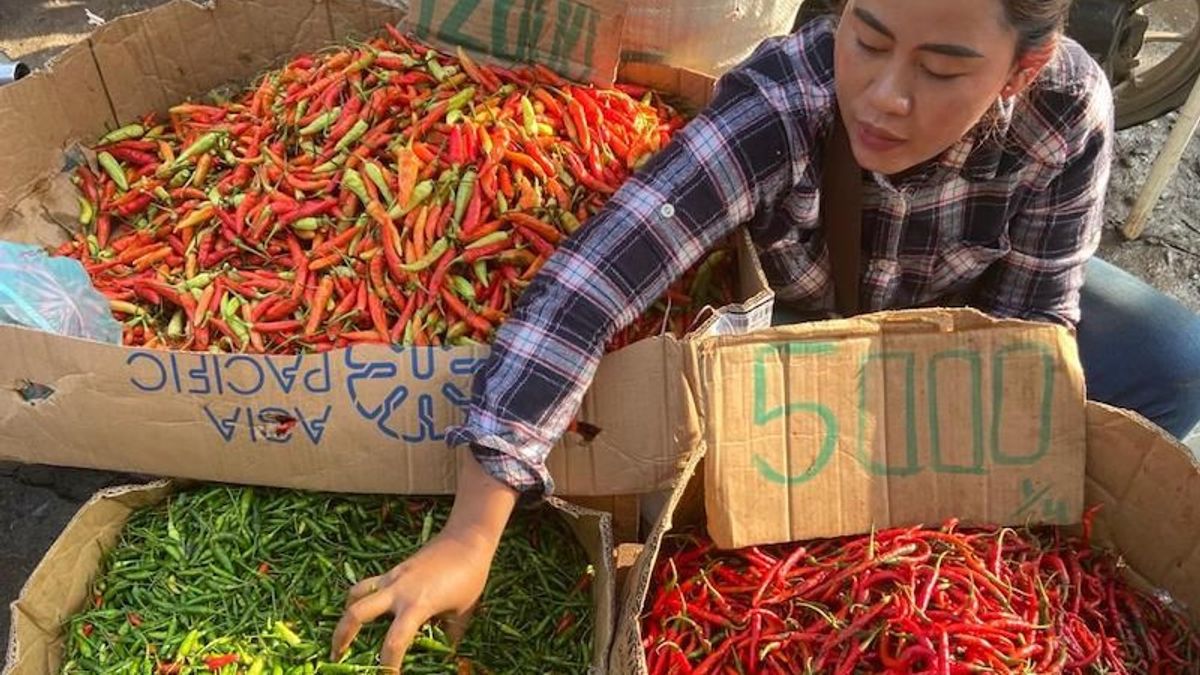 越来越"辣"只有巨港辣椒的价格，飙升每公斤Rp65，000