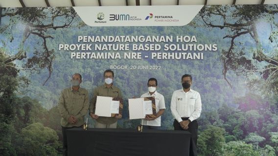 Pertamina NRE dan Perhutani Teken HoA Kerja Sama Pengembangan Proyek NBS