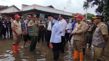 BNPB: Tanaman Padi Petani Jepara yang Puso karena Banjir Dapat Ganti Rugi