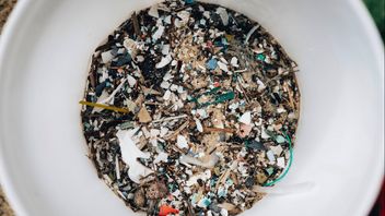 vous attendez aux dangers des microplastiques dans l'environnement : 3 façons de le prévenir