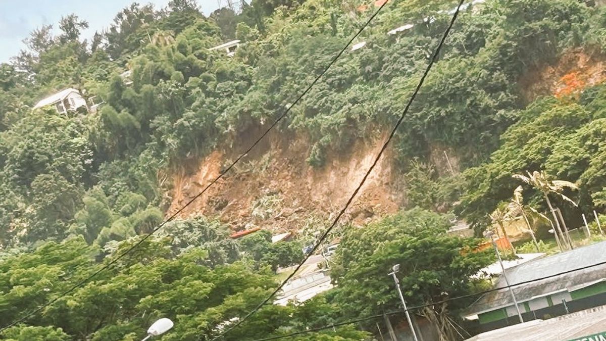 Vanuatu Earthquake Caused 14 Deaths: Six Of Them Because Of Land Land Landslides