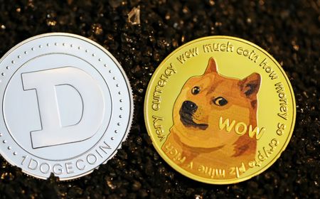 Transaksi Dogecoin (DOGE) Lampaui Bitcoin dan Ethereum