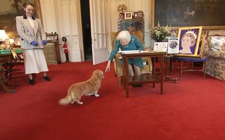 Ratu Elizabeth II Wafat, Anjing Corgi Kesayangannya Bakal Dirawat Siapa?