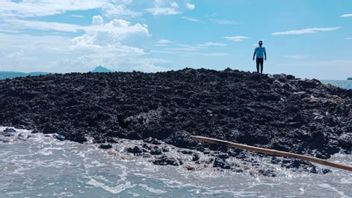 在研究Tanimbar的新岛屿现象时，海军Pushidrosal将向居民提供信息，这样他们就不会焦虑