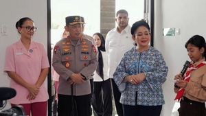 Komisi IV DPR Desak Kemenhut Libatkan Polri Tangani Tambang Ilegal di Gunung Merapi
