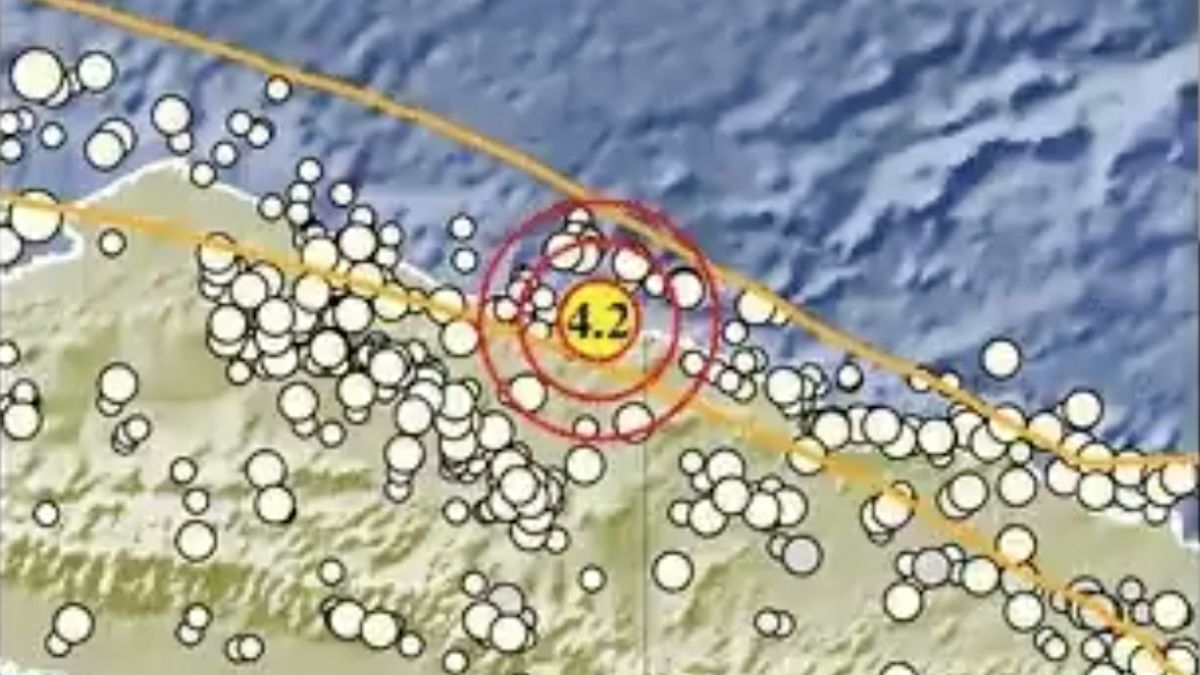 Gempa Keerom Papua Pagi ini, Magnitudo 4,2