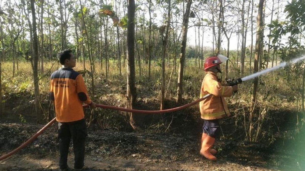 BNPB Says Forest And Land Fires In 2 Regencies Of Central Java Region Have Been Extinguished