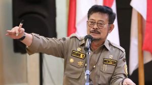 Syahrul Yasin Limpo Janji Bakal Taati Proses Hukum di KPK: Sebagai Warga Negara Saya Jalani Aral Rintang Ini