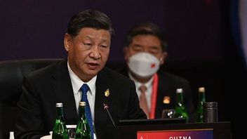 Bertemu Bill Gates, Xi Jinping Sampaikan Harapan Warga China