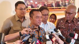 Sudah Ada Kepala BGN, Ditunjuk Lagi Ketua Tim MBG, Apa Bedanya?