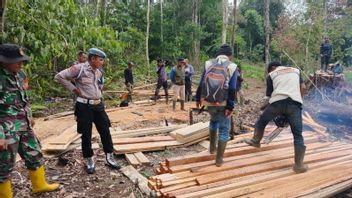 联合巡逻队在马宁乔自然保护区发现了6个非法采伐点,直接切割的木材被摧毁