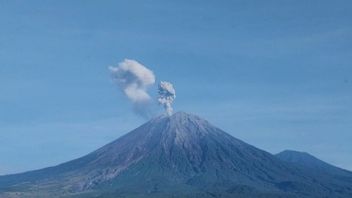 Gunung Semeru 3 Kali Erupsi dengan Kolom Abu hingga 900 Meter 