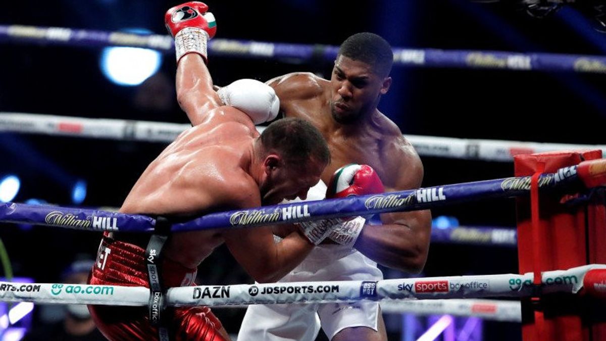 Pulev Knockout, Then Joshua Aims At Fury