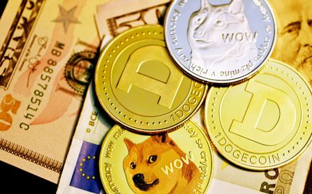 Ukraina Terima Donasi dalam Dogecoin, Mykhailo Fedorov: Bahkan Meme Bisa Mendukung Tentara Kami