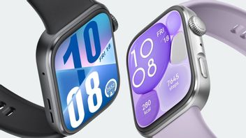 Huawei Wins At The Global Wearable Market In The First Quarter Of 2025