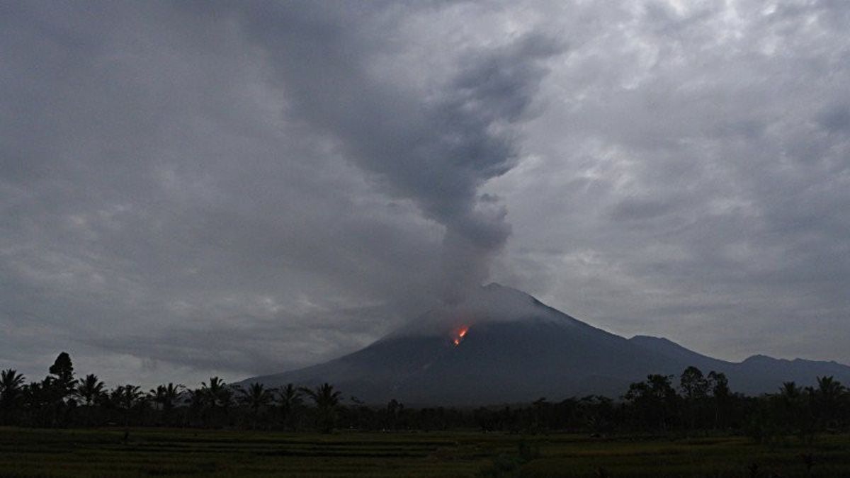 塞梅鲁火山灰雨影响到普罗博林戈到卢马扬 