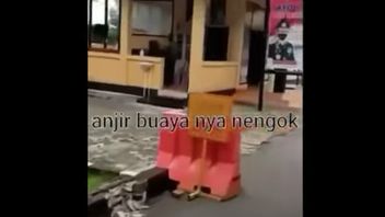 Entrer Dans Le Poste De Police Tout En Jouant TikTok Dit « OTW Crocodile Cage », Les Femmes à Bengkulu Sont Examinés