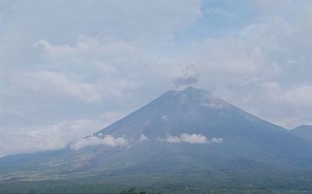 Gunung Semeru 2 Kali Erupsi dengan Letusan Setinggi 800 Meter