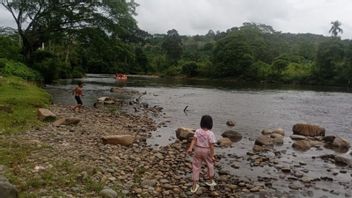 ハミナの祖母はHulu Batang Tebo Jambi川のほとりで野菜を洗っている間に落ちたとされ、バサルナスチームはまだ捜索中です