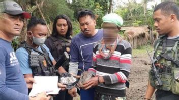 A Husband And Wife Couple Who Are Also Village Officials In Wamena Arrested By Police For Being Marijuana Dealers