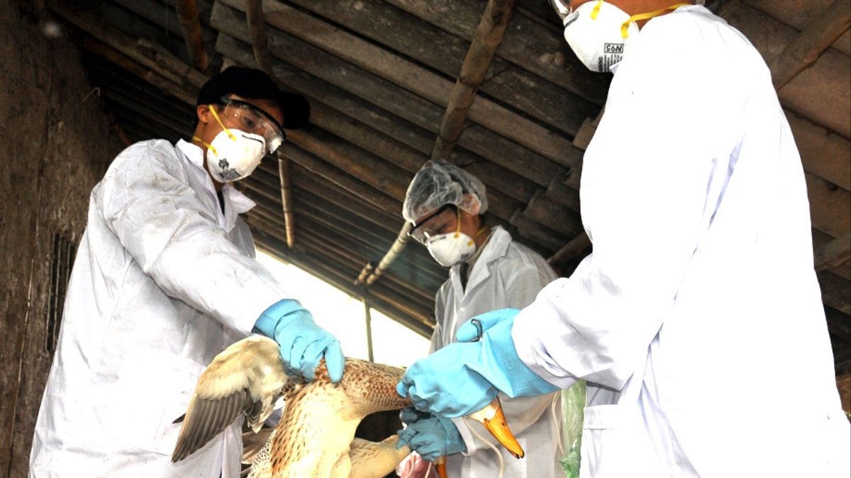 والد الفتاة التي توفيت بسبب أنفلونزا الطيور إيجابي أيضا للفيروس، والسلطات الكمبودية تجري اختبار الاتصال الوثيق