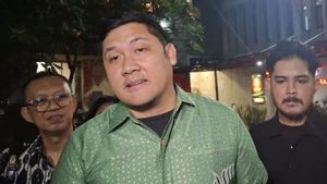 佐科威的假文凭指控案,米哈尔·西纳加被问及50个问题
