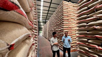 Bapanas Ungkap 3 Indikator RI Raih Swasembada Beras