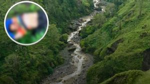 リンジャニ山で倒れた登山家、TNGR合同チームが避難を実施