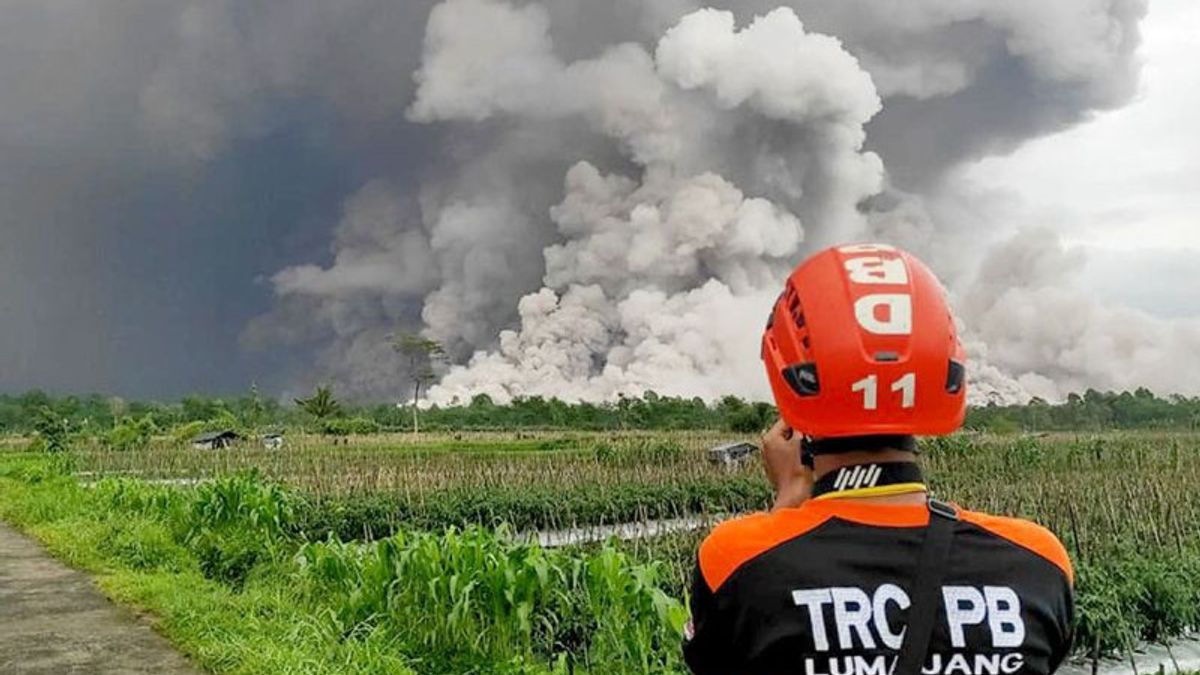    Semeru Kembali Erupsi, Puan Tekankan Prioritas Keamanan Bagi Warga dan Pendaki