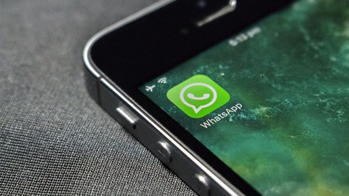 WhatsApp现在推出了最新的Beta版本,可以在iPad上下载