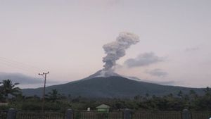 Status Gunung Lewotobi Masih Siaga, Warga Diminta Tetap Menjauh 3 Km dari Puncak 