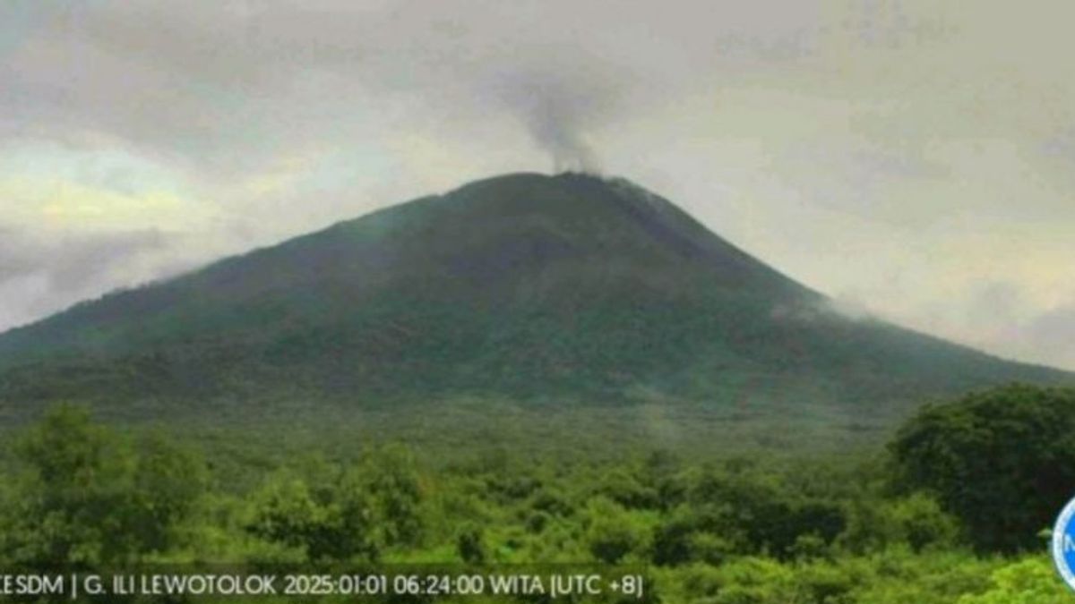 Geological Agency: Mount Lewotolok Activities In NTT Are Still High