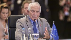 Tegas, Kepala Kebijakan Luar Negeri Uni Eropa Inginkan Solusi Dua Negara Krisis Palestina-Israel