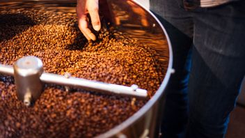 Mau Seperti Apa Masa Depan Industri Kopi Indonesia di Tengah Perubahan Iklim Global?