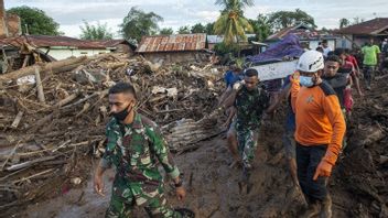 رعاية ضحايا الكوارث NTT، حكومة مقاطعة جاوة الشرقية يرسل 1 طن من الأرز وRp1 مليار