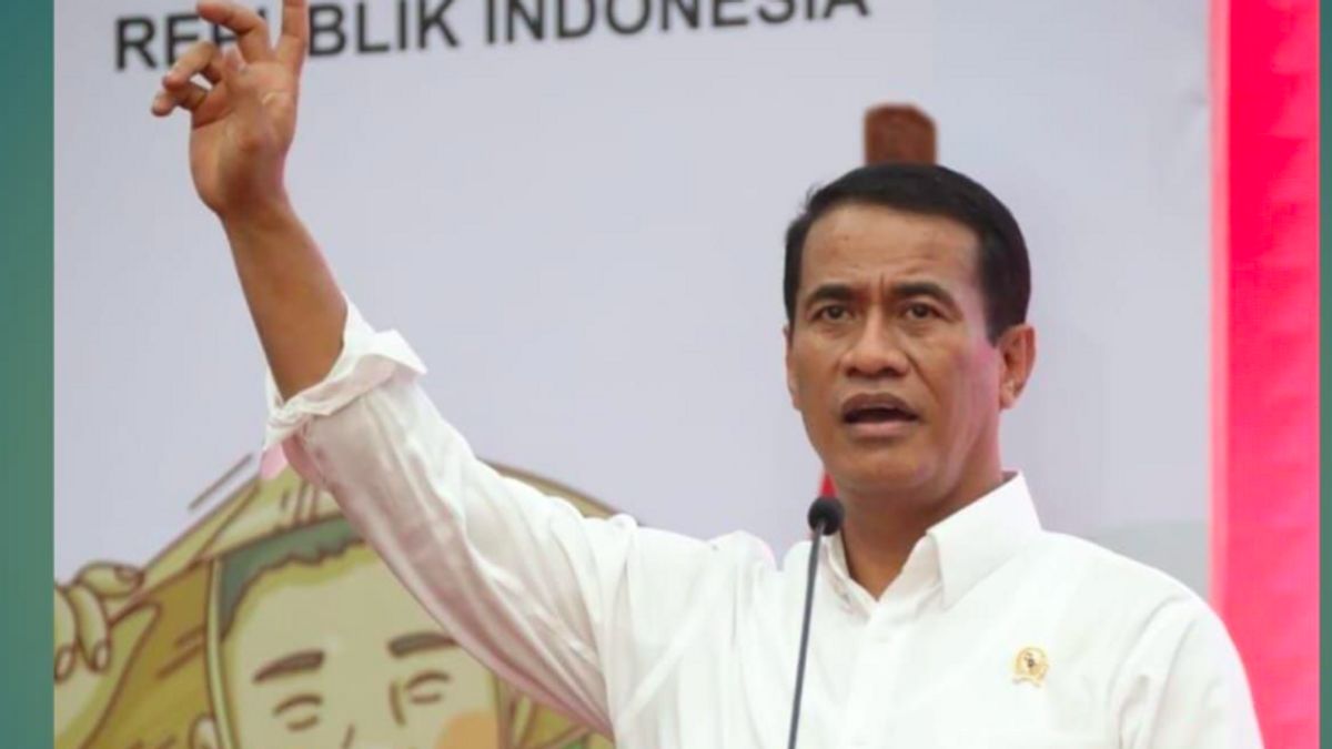 Banyak Penggilingan Padi Gulung Tikar, Mentan: Kapasitas Terlalu Besar, Produksi Terbatas