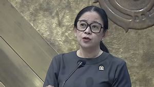 Ketua DPR soal Bantuan Asing untuk Bencana Sumatera: Pemerintah Masih Mampu   