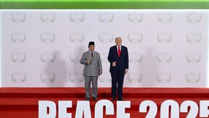 Kronologi Bocornya Percakapan Trump dan Prabowo di KTT Gaza, Mesir
