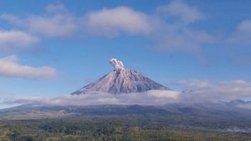 Gunung Semeru Erupsi 4 Kali, Letusan Capai 1,2 Km di Atas Puncak