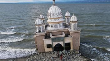 Petik Gempa-Tsunami Palu 2018, BMKG Tekankan Pentingnya Kecepatan Distribusi Informasi Bencana