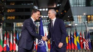 Defense Capability To Support For Ukraine Becomes A Priority Of NATO Secretary General Mark Rutte