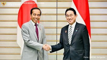Jokowi Meets Japanese PM, Here Are 3 Points Discussed