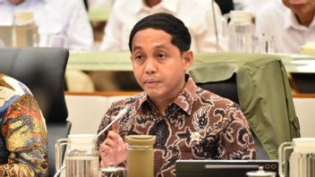 Kemenhut Keluarkan Moratorium Pemanfaatan Kayu