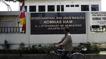 Komnas HAM Pertanyakan Keputusan Pemerintah yang Akan Merevisi 4 Pasal UU ITE