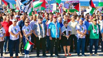 古巴总统米格尔·迪亚兹-卡内尔 哈瓦那支持巴勒斯坦人的示威领导人