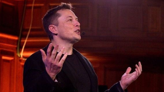 Elon Musk Nie Avoir Jamais Eu L’intention De Remplacer Le PDG D’Apple Tim Cook