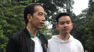 PDIP: Jokowi Harus Pisahkan Diri Kapan Jadi Presiden, Kapan Jadi Ayah Gibran