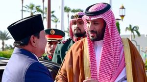 Presiden Prabowo Telepon Pangeran MBS Bahas Kampung Haji Indonesia